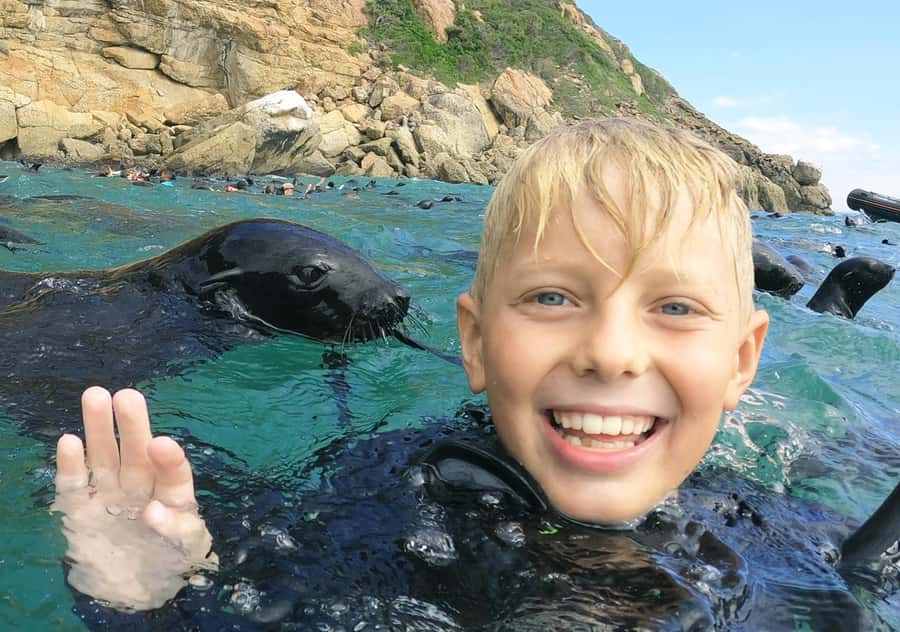 Plettenberg Bay: Swim with the Seals - The 30 minute seal snorkel with Cape Fur Seals