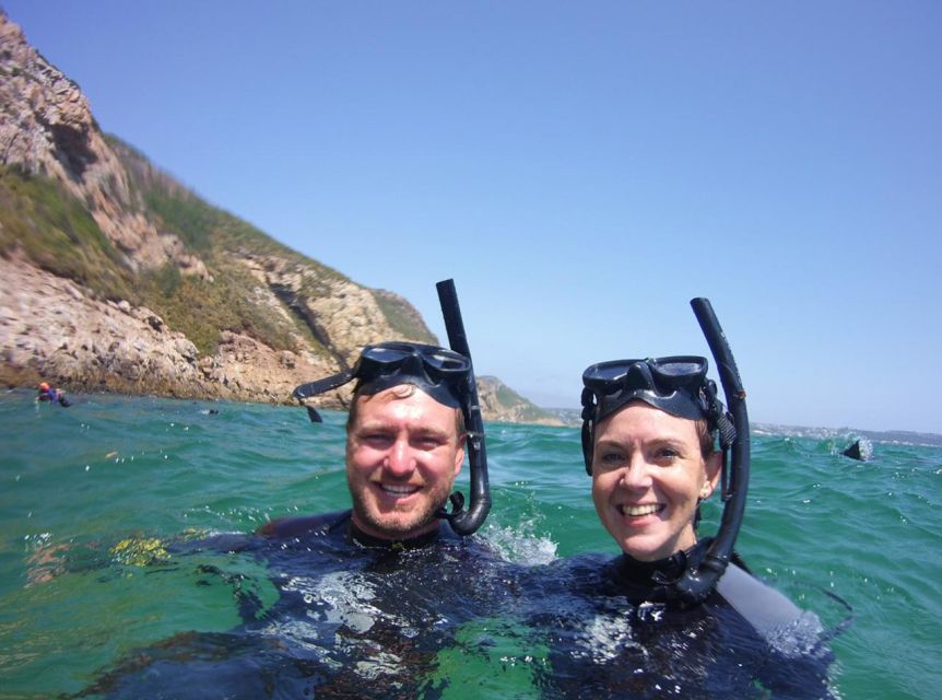 Plettenberg Bay: Swim with the Seals - Robberg Nature Reserve scenery, plus the view if you skip the water