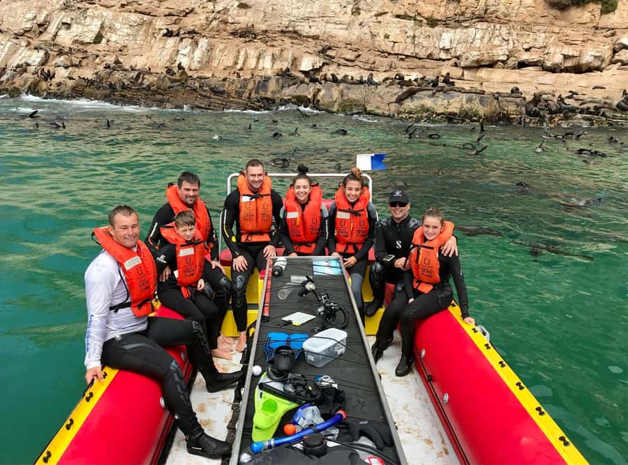 Plettenberg Bay: Swim with the Seals - Safety and the rabies update, what you should know before booking