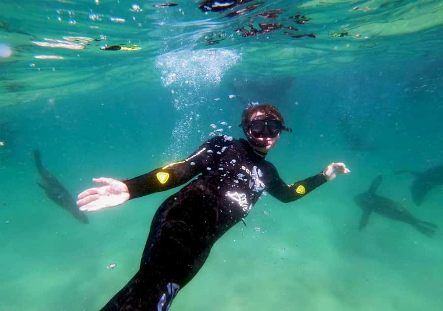 Plettenberg Bay: Swim with the Seals - Timing, what to bring, and how long each moment really takes