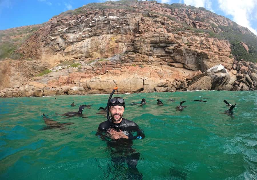Plettenberg Bay: Swim with the Seals - Who this seal swim is best for in Plettenberg Bay