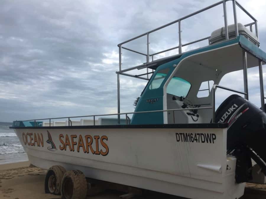 Plettenberg Bay: Whale Watching Boat Cruise - The Boat Crew Makes or Breaks the Day