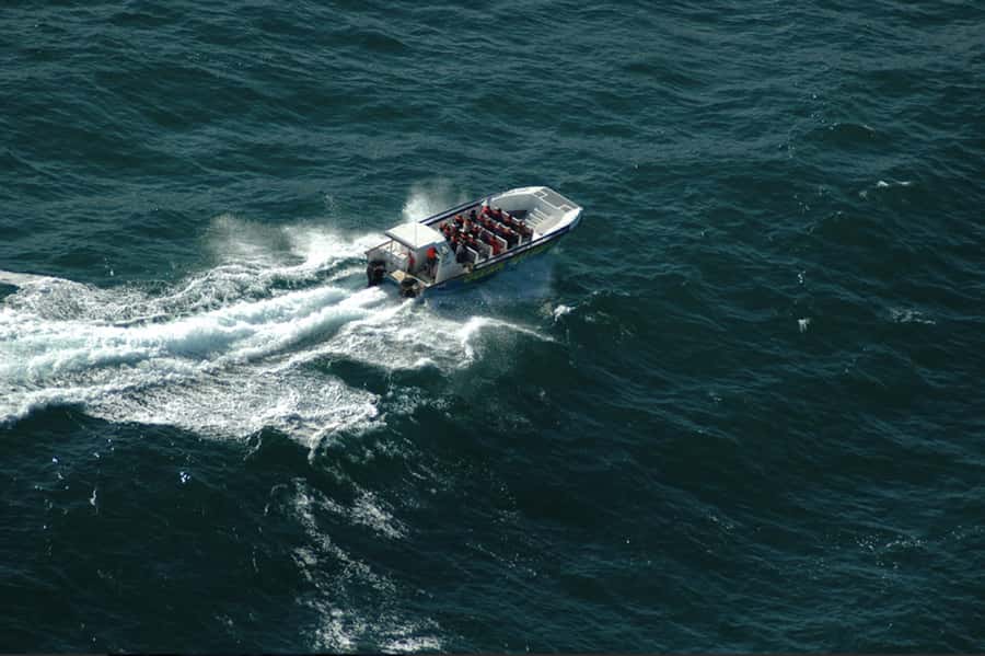 Plettenberg Bay: Whale Watching Boat Cruise - Meeting at Ocean Safaris, Then Getting Straight to the Sea