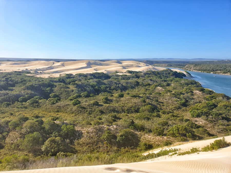 Port Elizabeth: 2-Day Addo Elephant Park Safari - Key Things That Make This Safari Worth Your Time