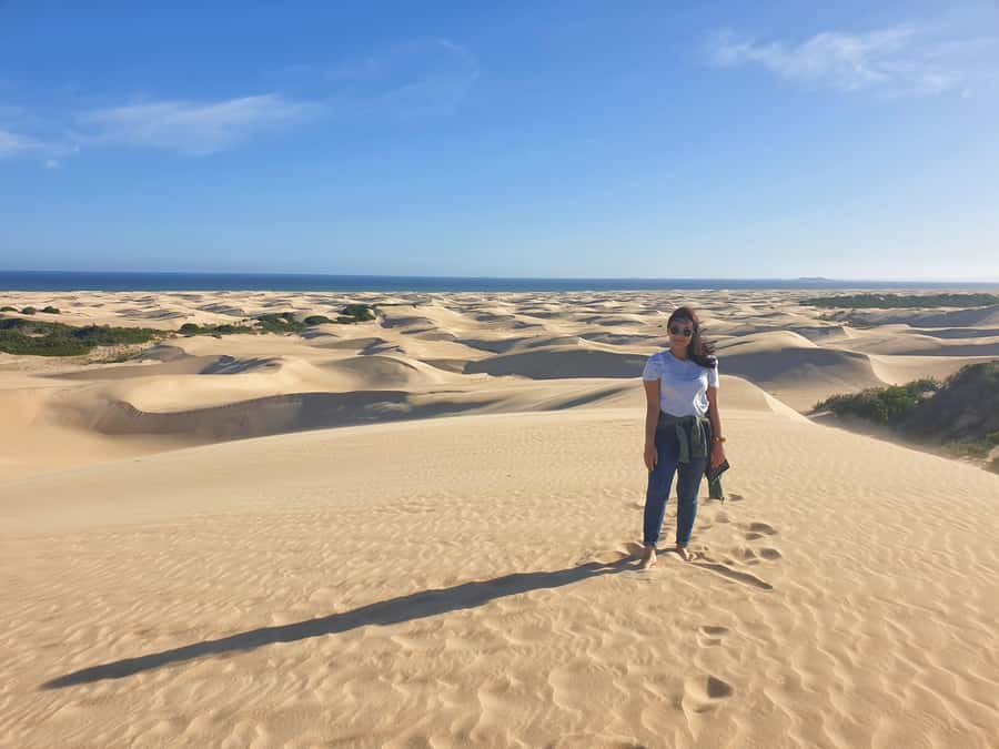 Port Elizabeth: 2-Day Addo Elephant Park Safari - Days in Addo Include the “Big 7” Idea, Not Just the Big 5