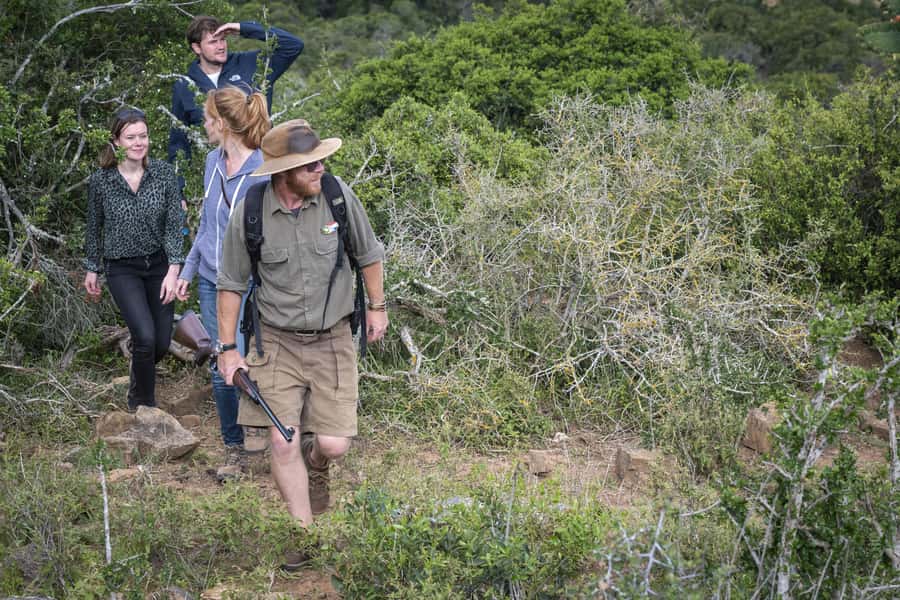 Port Elizabeth: 2-Day Addo Elephant Park Safari - Giraffe Tracking on Foot: Up Close, But Manage Your Expectations