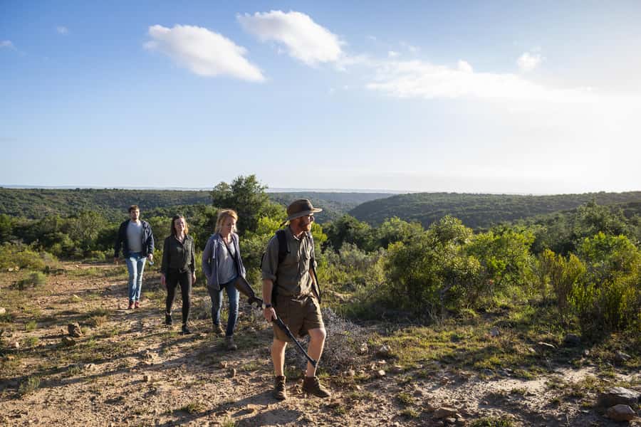Port Elizabeth: 2-Day Addo Elephant Park Safari - Your One-Night Stay: 4-Star Comfort, With a Wildlife Day in Your Legs