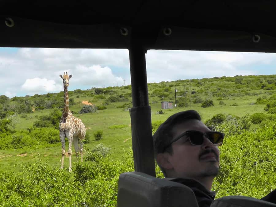 Port Elizabeth:2-Day Schotia Safaris & Addo Wildlife Reserve - The Luxury Lodge Night, and Why It Matters More Than You Think