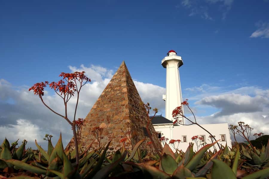 Port Elizabeth: 4x4 Wildlife Safari & City Sightseeing Tour - Why this Port Elizabeth 4x4 combo tour works as a one-day plan