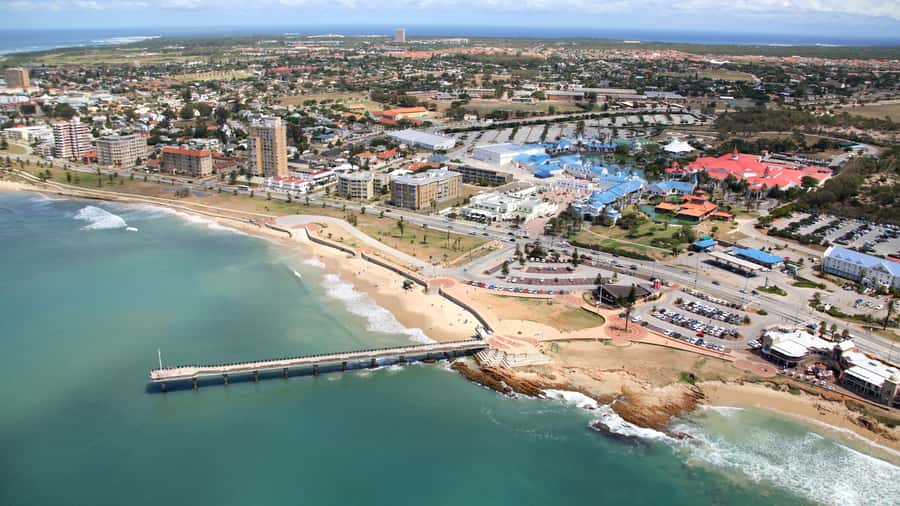 Port Elizabeth: 4x4 Wildlife Safari & City Sightseeing Tour - SANCCOB Gqeberha: meeting rescued African penguins