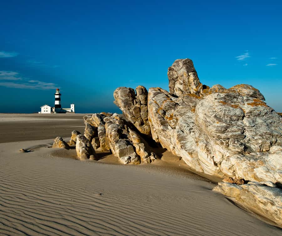 Port Elizabeth: 4x4 Wildlife Safari & City Sightseeing Tour - The 7-hour schedule, pickup, and how to stay sane