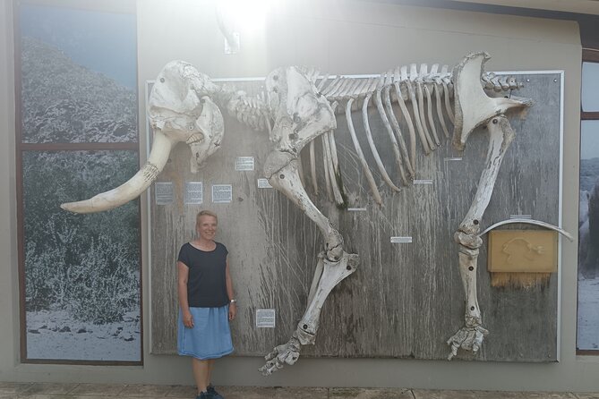 Port Elizabeth Addo Elephant National Park All Inclusive Safari - Wildlife expectations: how to get more out of a single day