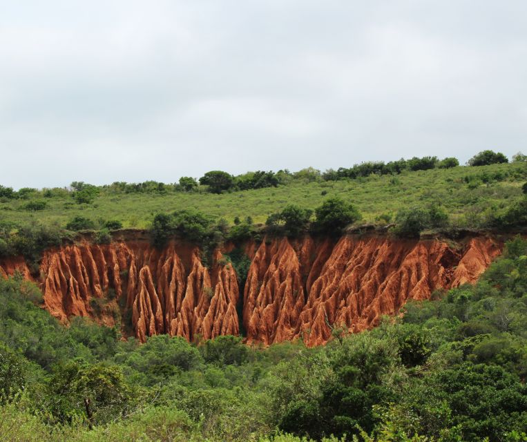 Port Elizabeth: Addo Elephant Park Shore Excursion with BBQ - The afternoon shift: northern Addo sightings and panorama stops