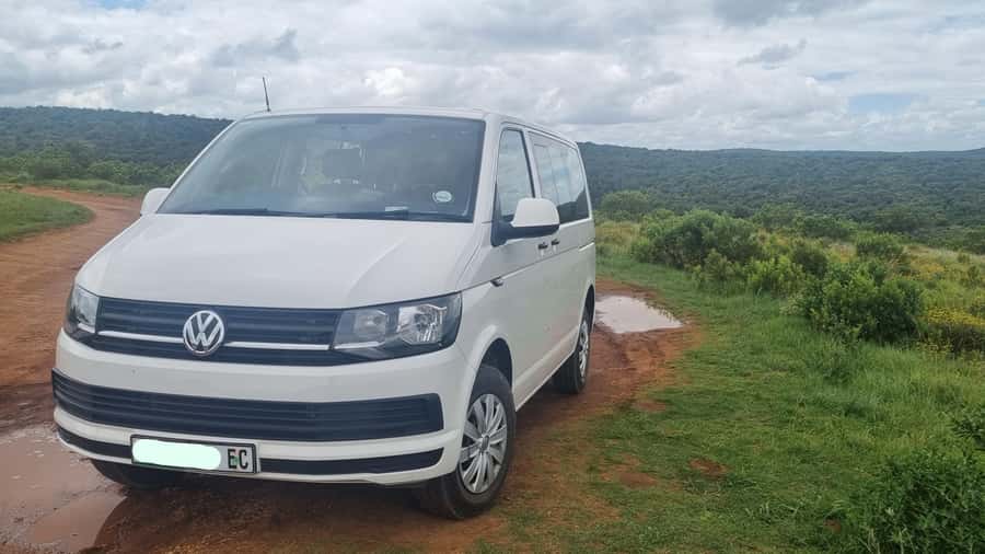 Port Elizabeth: Addo Park Safari with Giraffe Walk and Lunch - Giraffe bush walk at a private game reserve: the safer, closer-feeling part of the day