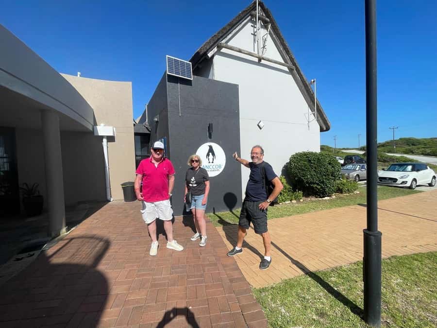 Port Elizabeth: City and Coastal Tour - City Landmarks in the middle of the route: city hall, the Main library, and public art