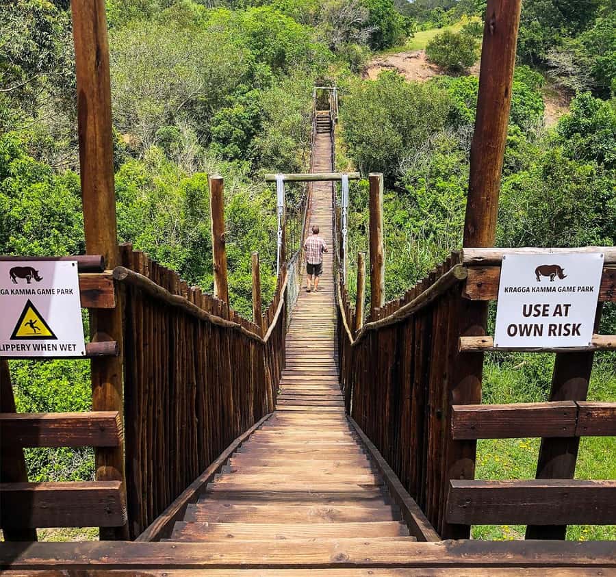 Port Elizabeth:Kragga Kamma Private game reserve safari - Coastal forest and grassland: where wildlife actually shows up