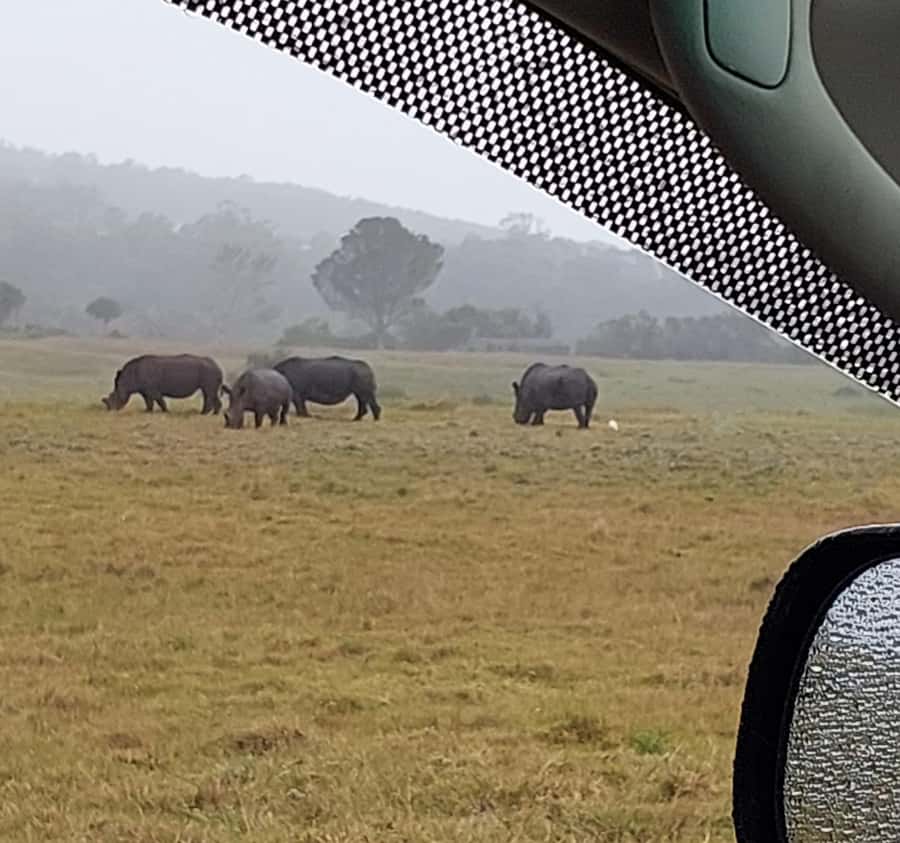 Port Elizabeth:Kragga Kamma Private game reserve safari - The drive in an aircon van: comfort matters more than you think