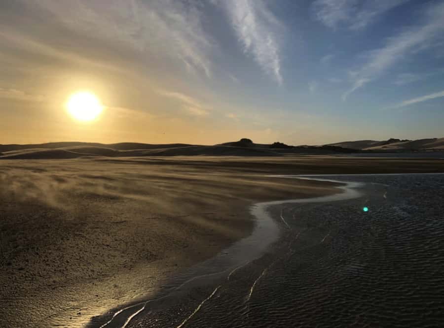 Port Elizabeth: River Cruise on the Sundays River - The highest sand dune stop: the climb, the payoff, and safety basics