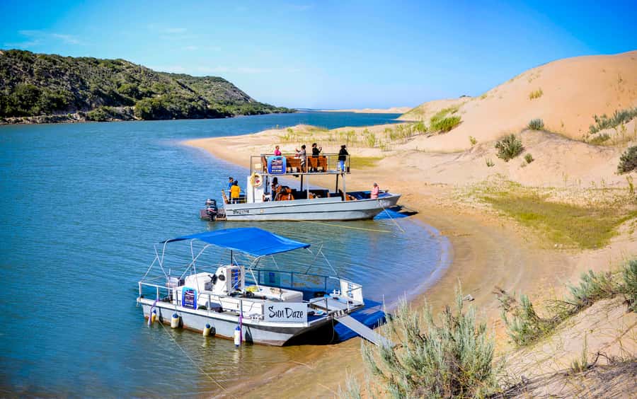 Port Elizabeth: River Cruise on the Sundays River - From A Taste of Africa to Colchester: how the timing actually feels