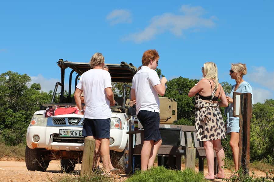 Port Elizabeth: Schotia Private Game Reserve Safari - The Open Safari Drive: How the Ranger Makes the Wildlife Make Sense