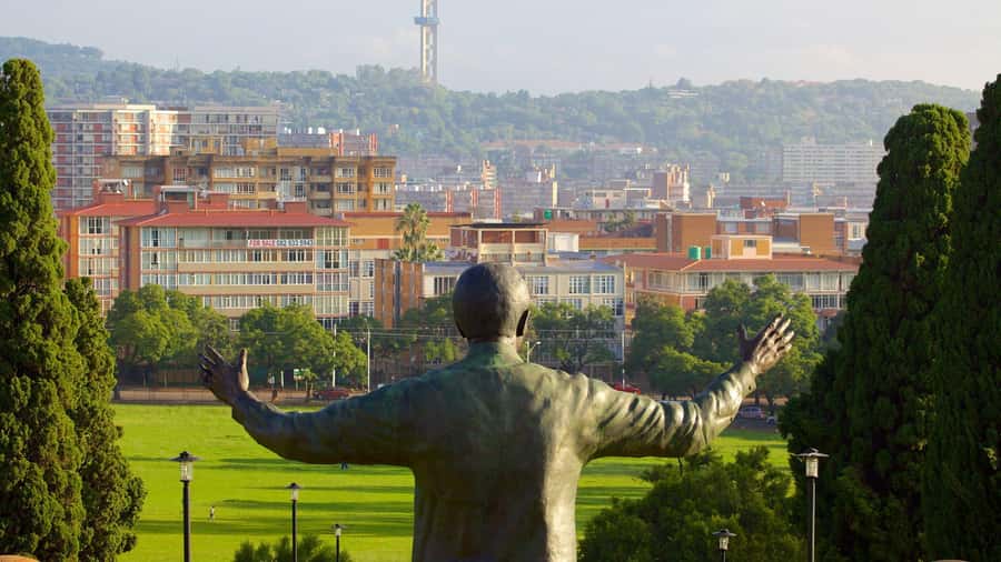 Pretoria: Half-Day City Tour with Hotel Pickup - Pretoria’s jacaranda season and why this tour works