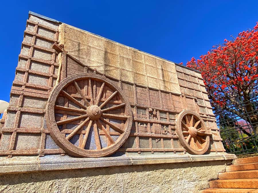 Pretoria: Pretoria City and Lion Park Tour - What to Pack for a Safari Plus City Schedule