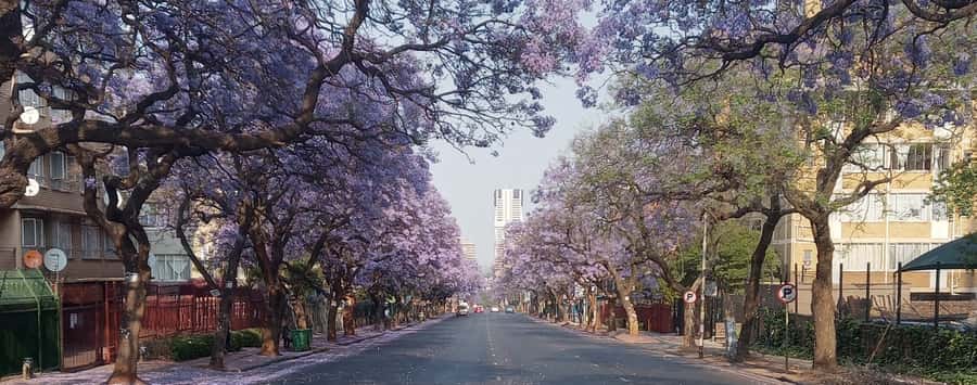 Pretoria: Pretoria City Tour and Cullinan Diamond Mine Tour - How Long Each Stop Feels, and Where You Might Want More Time