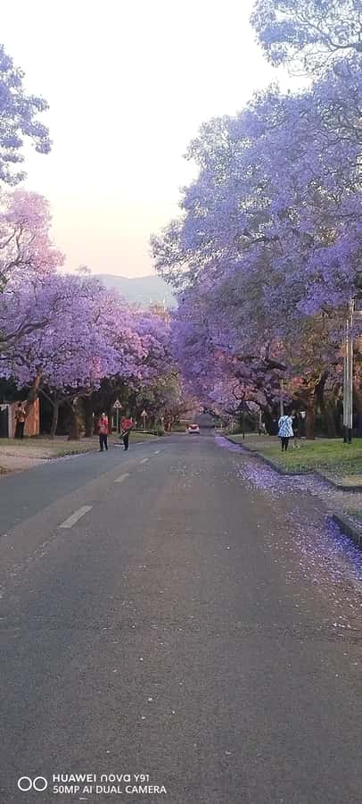 Pretoria: Pretoria City Tour and Cullinan Diamond Mine Tour - Guides Who Explain Without Taking Over the Day