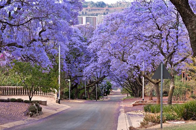 Pretoria Sightseeing Day Trip from Johannesburg - Pretoria in 4 hours, why a Jacaranda City day is a smart use of time