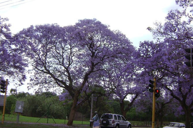 Pretoria tour, Half Day experience - Pickup, Mobile Ticket, and Why Small Groups Matter