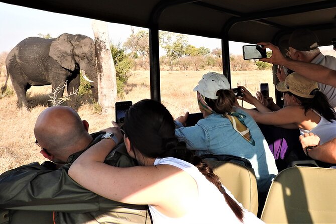 Private 4x4 Safari Tour in Kruger National Park - Key highlights to know before you go