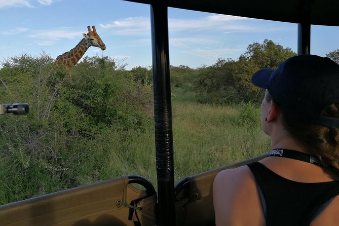 Private 5-Day Overnight Safari In Kruger Park from Skukuza Airport - Chasing the Big Five, plus the other animals that make Kruger special