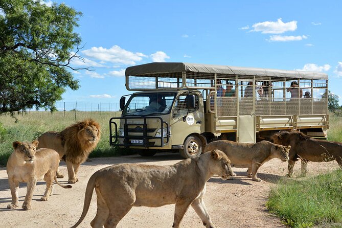 Private 5-Hour Lion Park Tour from Johannesburg or Pretoria - Hotel pickup, uncapped Wi-Fi, and how the day stays stress-free