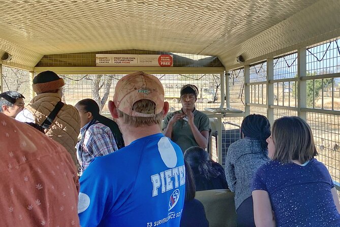 Private 5-Hour Lion Park Tour from Johannesburg or Pretoria - The one-hour game drive that turns the day into a real safari