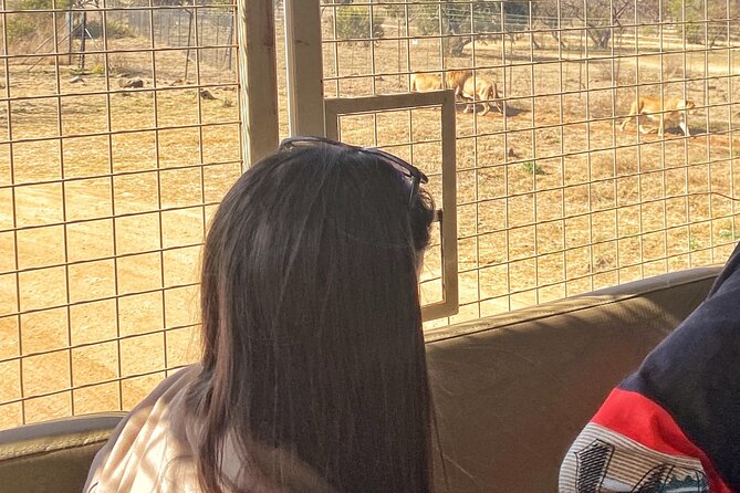 Private 5-Hour Lion Park Tour from Johannesburg or Pretoria - Price and logistics: what you are really paying for