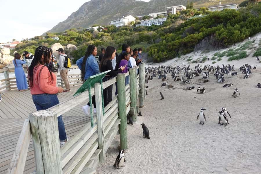 Private Cape of Good Hope and Penguins Full-Day Tour - Bo-Kaap, plus quick color and culture without turning it into a museum stop