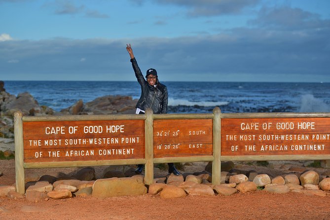 Private Cape of Good Hope and Penguins Tour with Luxury Mercedes or BMW Vehicle - A Private Cape Peninsula Day That Moves at Your Pace