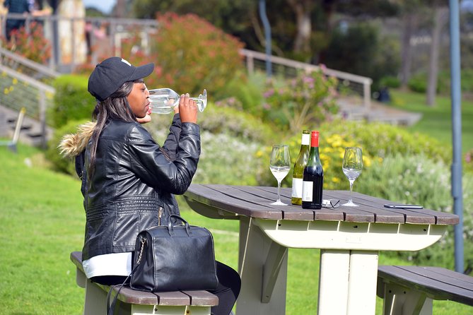 Private Cape of Good Hope and Penguins Tour with Luxury Mercedes or BMW Vehicle - Cape Point Vineyards Tasting, Simon’s Town, and Just Nuisance