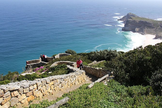 Private Cape of Good Hope and Penguins Tour with Luxury Mercedes or BMW Vehicle - Boulders Beach African Penguins Without the Hassle