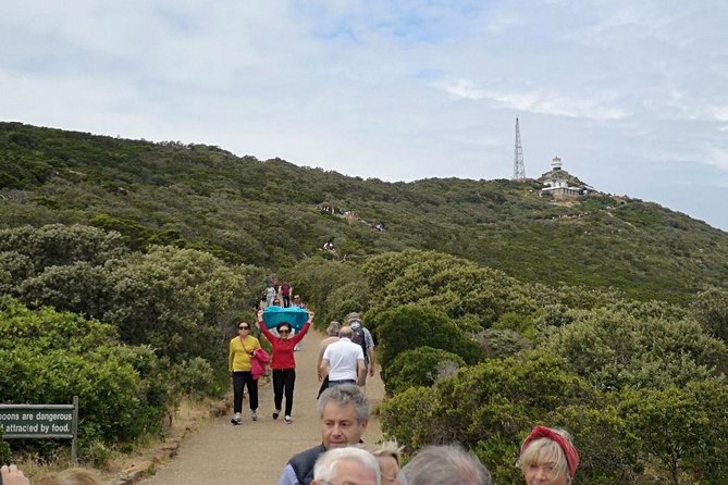 Private Cape of Good Hope Cape Point Penguin Kirstenbosch Tour. - Boulders Beach and the African penguins at shoreline level
