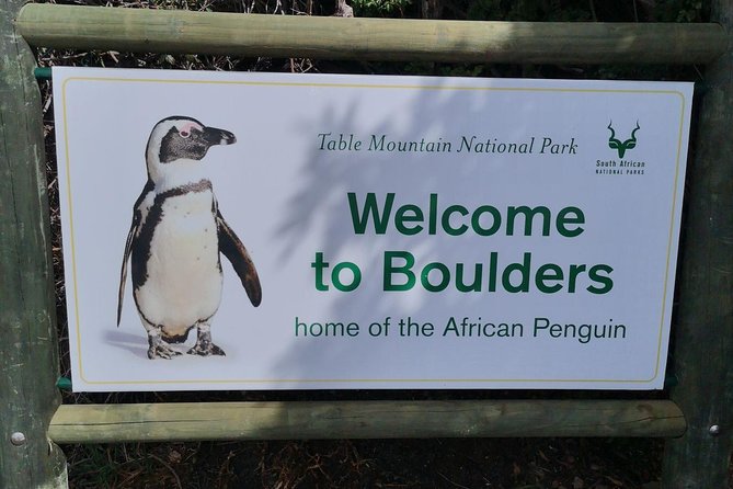Private Cape of Good Hope Cape Point Penguin Kirstenbosch Tour. - Kirstenbosch Botanical Gardens: a calm, scenic reset