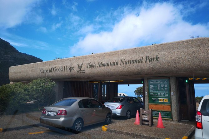 Private Cape of Good Hope Cape Point Penguin Kirstenbosch Tour. - From Hout Bay to Simon’s Town, decide your seal plan