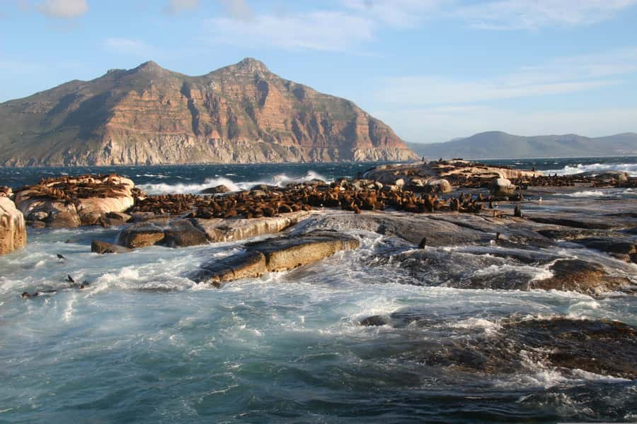Private Cape of Good Hope Guided Tour - Maiden’s Cove: The Tidal Pool View That Feels Like a Millionaire Moment