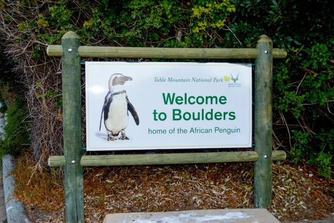 Private Cape of Good Hope Sightseeing and African Penguin Tour - From Pickup To Cape Point, The Day’s Simple Logic