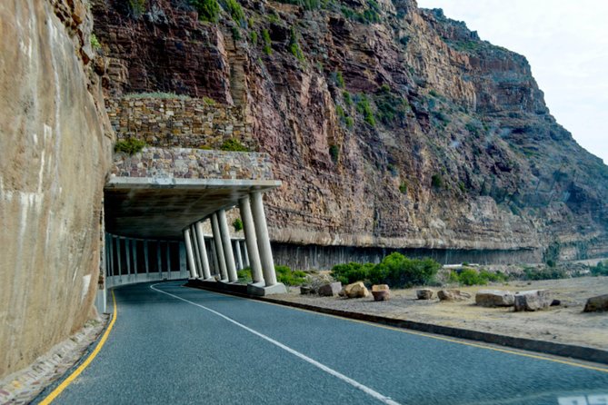 Private Cape of Good Hope Sightseeing and African Penguin Tour - Chapman’s Peak Drive And The Best Type of Break: The Photo Pull-Off