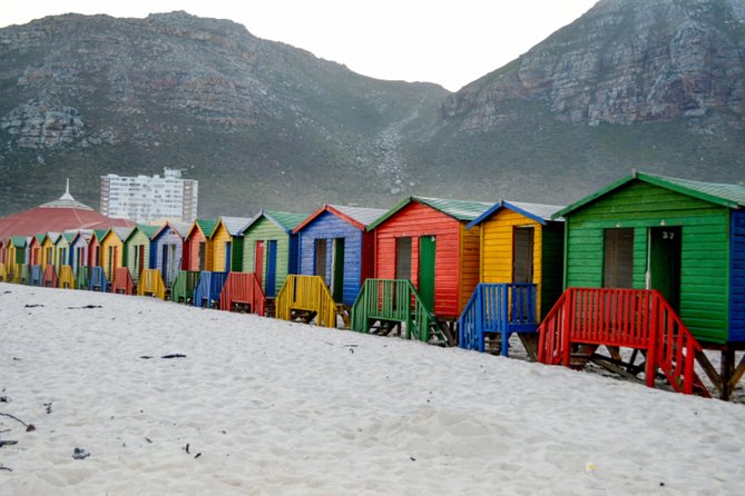 Private Cape of Good Hope Sightseeing and African Penguin Tour - Cape Point Vineyards, Ostrich Spotting, And Peninsula Snacks