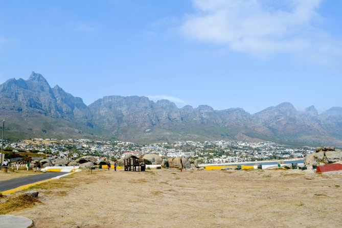 Private Cape of Good Hope Sightseeing and African Penguin Tour - Cape Point Nature Reserve: Big Views, Floral Variety, And Animal Chances