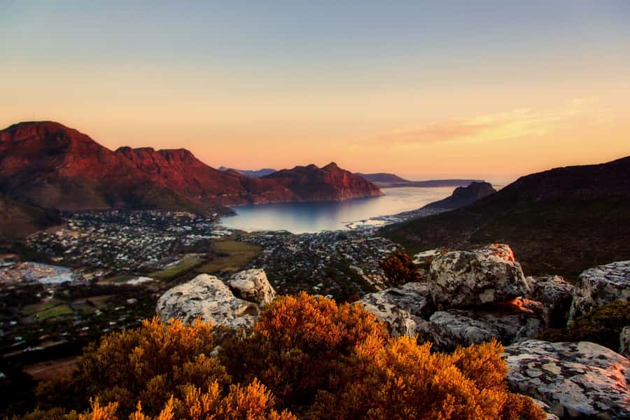 Private Cape Peninsula Half-Day Tour with Penguins - Key points to know before you go