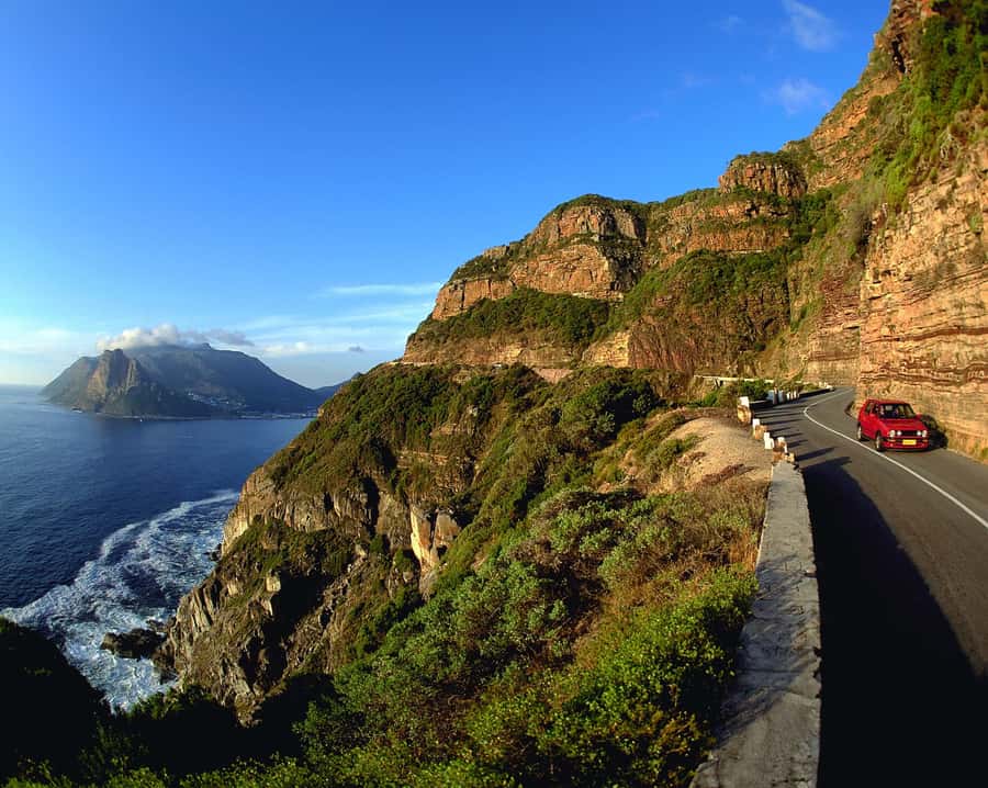 Private Cape Peninsula Half-Day Tour with Penguins - Cape Peninsula in Four Hours, With Real Stops