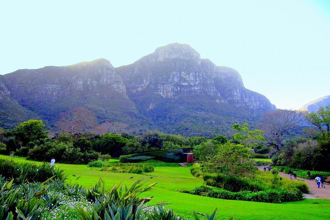 Private Cape Peninsula + Kirstenbosch Garden Full Day Guided Tour - Chapman’s Peak Drive: a road-building viewpoint stop that pays off